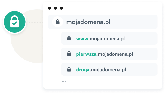 Certyfikat Wildcard SSL zapewnia obsługę wielu subdomen jednocześnie, szyfrując dane wszystkich Twoich domen.