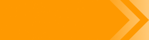 AnyDesk-Professional-Tiny.png