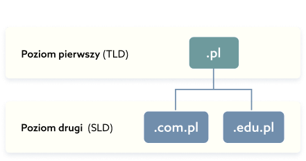 Domena .com.pl – atrakcyjny adres w polskiej domenie